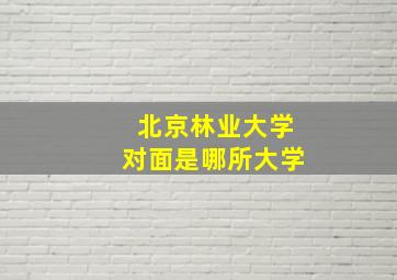 北京林业大学对面是哪所大学