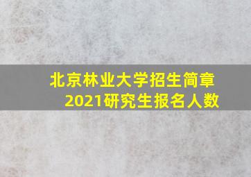 北京林业大学招生简章2021研究生报名人数