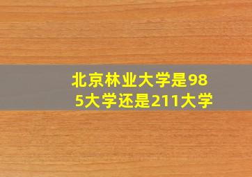 北京林业大学是985大学还是211大学