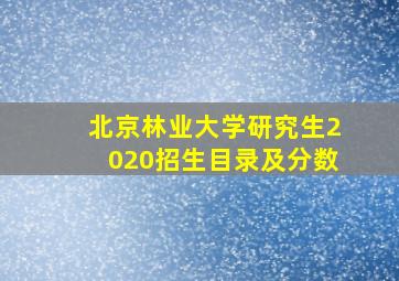 北京林业大学研究生2020招生目录及分数