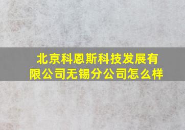 北京科恩斯科技发展有限公司无锡分公司怎么样