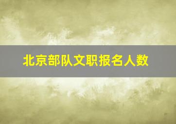 北京部队文职报名人数