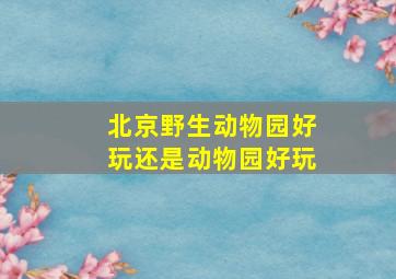 北京野生动物园好玩还是动物园好玩