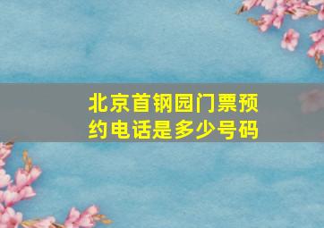 北京首钢园门票预约电话是多少号码