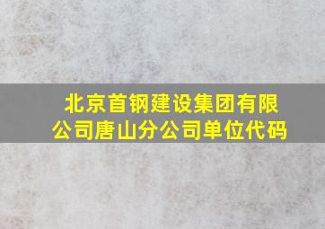 北京首钢建设集团有限公司唐山分公司单位代码