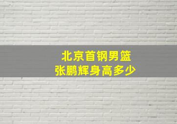 北京首钢男篮张鹏辉身高多少