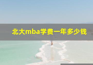 北大mba学费一年多少钱