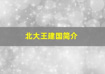 北大王建国简介