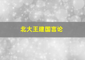 北大王建国言论