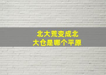 北大荒变成北大仓是哪个平原