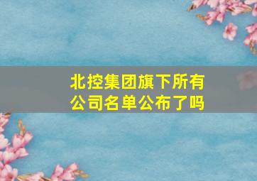 北控集团旗下所有公司名单公布了吗