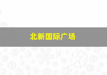 北新国际广场