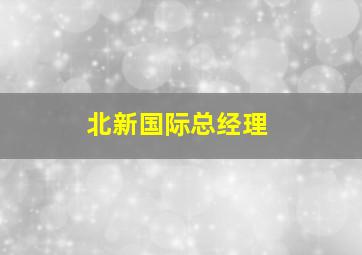 北新国际总经理