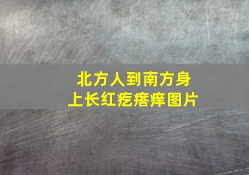 北方人到南方身上长红疙瘩痒图片