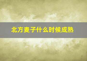 北方麦子什么时候成熟