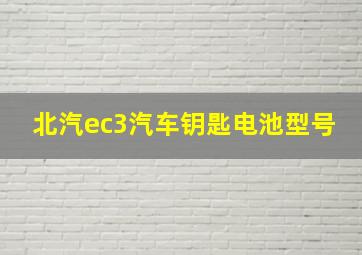 北汽ec3汽车钥匙电池型号