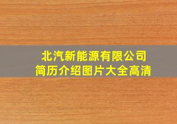 北汽新能源有限公司简历介绍图片大全高清