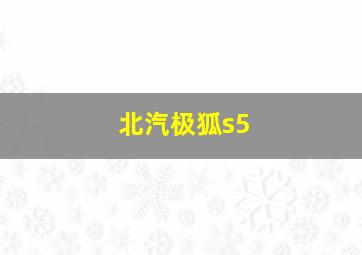 北汽极狐s5