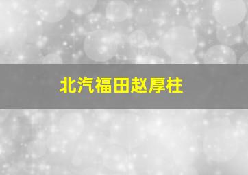 北汽福田赵厚柱