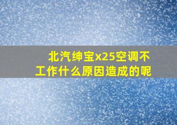 北汽绅宝x25空调不工作什么原因造成的呢