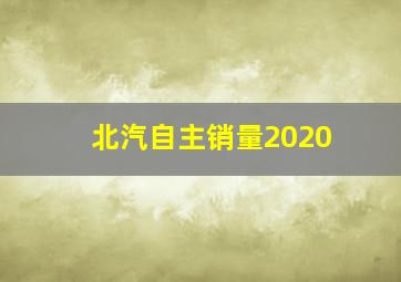 北汽自主销量2020