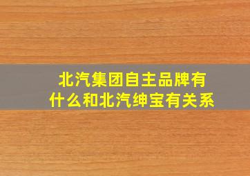 北汽集团自主品牌有什么和北汽绅宝有关系