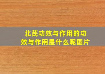 北芪功效与作用的功效与作用是什么呢图片