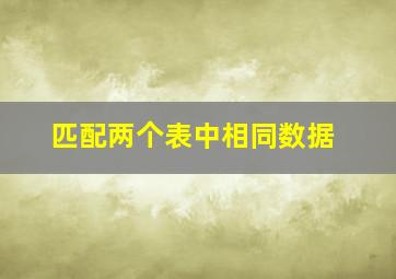 匹配两个表中相同数据