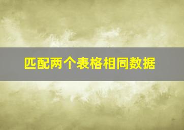 匹配两个表格相同数据