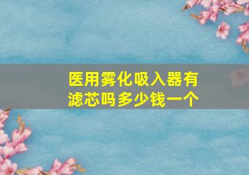 医用雾化吸入器有滤芯吗多少钱一个