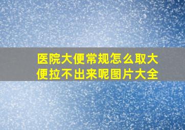 医院大便常规怎么取大便拉不出来呢图片大全