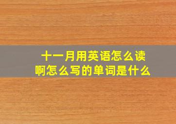 十一月用英语怎么读啊怎么写的单词是什么