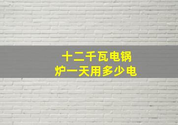 十二千瓦电锅炉一天用多少电