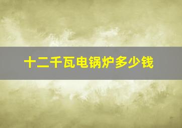 十二千瓦电锅炉多少钱