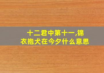 十二君中第十一,锦衣抱犬在今夕什么意思