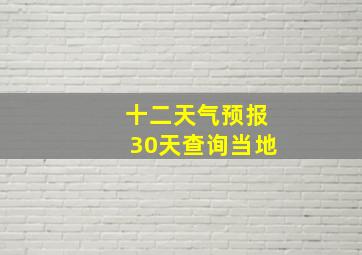 十二天气预报30天查询当地