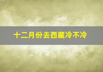 十二月份去西藏冷不冷