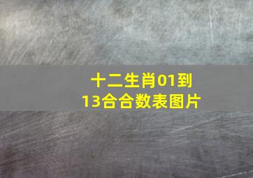 十二生肖01到13合合数表图片