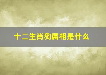 十二生肖狗属相是什么