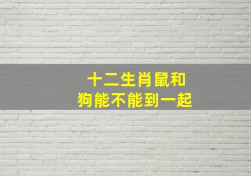 十二生肖鼠和狗能不能到一起