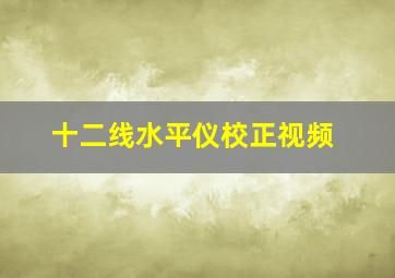 十二线水平仪校正视频