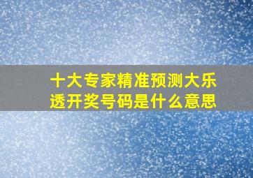 十大专家精准预测大乐透开奖号码是什么意思