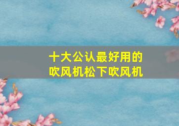 十大公认最好用的吹风机松下吹风机