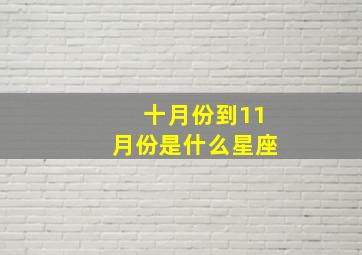 十月份到11月份是什么星座