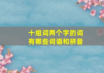 十组词两个字的词有哪些词语和拼音