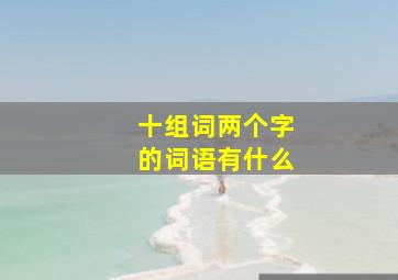 十组词两个字的词语有什么