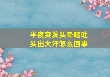 半夜突发头晕呕吐头出大汗怎么回事