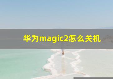 华为magic2怎么关机