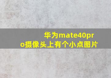 华为mate40pro摄像头上有个小点图片