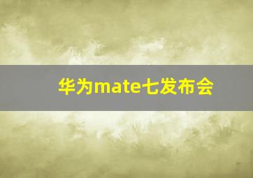 华为mate七发布会